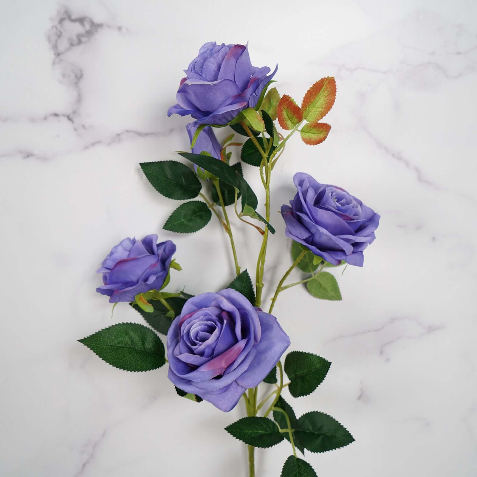 Slide image bd2fd38a060b4c099ee5b47132a37cd1