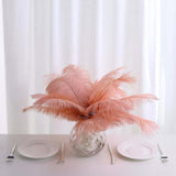 12 Pack | 13-15inch Mauve Natural Plume Real Ostrich Feathers, DIY Centerpiece Fillers