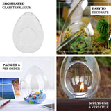 6 Pack | 5inch Air Plant Glass Egg Shaped Terrarium Self Standing Planter