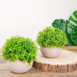 2 Plant Set | 5inch Mini Potted Artificial Boxwood Topiary Faux Planter Collection