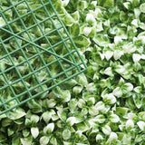 11 Sq ft. | White Tip Green Boxwood Hedge Garden Wall Backdrop Mat