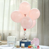 25 Pack | 12inch Matte Pastel Blush Helium or Air Latex Party Balloons