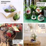 9inch Air Plant Hanging Glass Bell Shaped Terrarium With Twine Rope, Free-Falling Planter