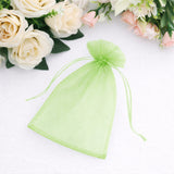 Green organza gift bag on a white background.