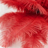 12 Pack | 13-15inch Red Natural Plume Real Ostrich Feathers, DIY Centerpiece Fillers