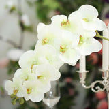 2 Stems | 40inch Tall Cream Artificial Silk Orchid Flower Bouquets