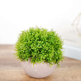 2 Plant Set | 5inch Mini Potted Artificial Boxwood Topiary Faux Planter Collection