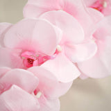 2 Stems | 40inch Tall Pink Artificial Silk Orchid Flower Bouquets#whtbkgd