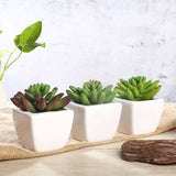 3 Pack | 4inches Ceramic Planter Pot & Artificial Lotus Succulent Plants