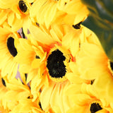 11 Sq ft. | Artificial Sunflower Wall Mat Backdrop, Flower Wall Decor