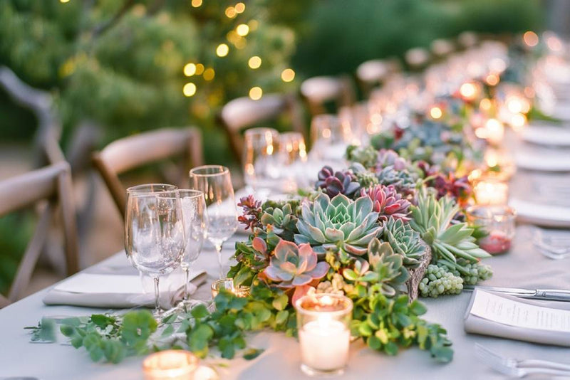 wedding centerpieces- succulents