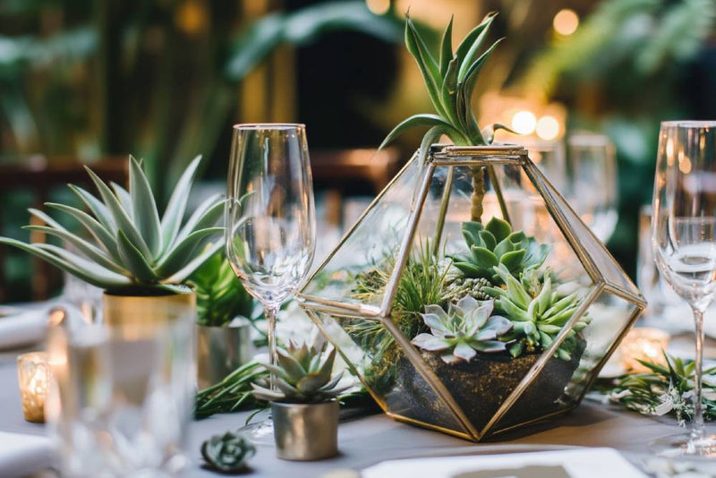 wedding table centerpiece- terrariums
