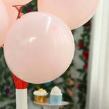 25 Pack | 12inch Matte Pastel Blush Helium or Air Latex Party Balloons