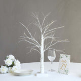 2ft White Artificial LED Birch Tree Lamp, USB Rechargeable Warm White Lighted Tree Centerpiece