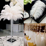 12 Pack | 13-15inch White Natural Plume Real Ostrich Feathers, DIY Centerpiece Fillers