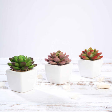 3 Pack | 3" Ceramic Planter Pot and Artificial Echeveria Elegans Plants