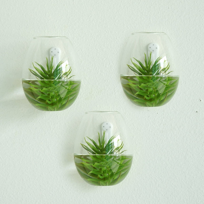 3 Pack | Egg Shaped Glass Wall Vase | Indoor Wall Mounted Planters | Hanging Terrariums