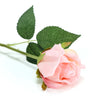 31inch | 24pcs Blush/Rose Gold Long Stem Artificial Silk Roses Flowers#whtbkgd