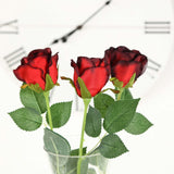 31inch | 24pcs Red, Black Tip Long Stem Artificial Silk Roses Flowers