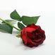 31inch | 24pcs Red, Black Tip Long Stem Artificial Silk Roses Flowers#whtbkgd