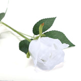 31inch | 24pcs White Long Stem Artificial Silk Roses Flowers#whtbkgd