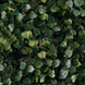 11 Sq ft. | Dark Green Boxwood Hedge Garden Wall Backdrop Mat#whtbkgd