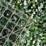 Create a Stunning Dark Green Boxwood Hedge Garden Wall Backdrop with Artificial Panels