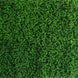 11 Sq ft. | Baby Green Boxwood Hedge Garden Wall Backdrop Mat