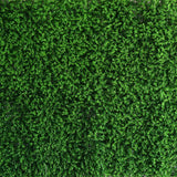 Artificial Baby Green Boxwood Hedge Garden Wall Backdrop Mat - 4 Panels