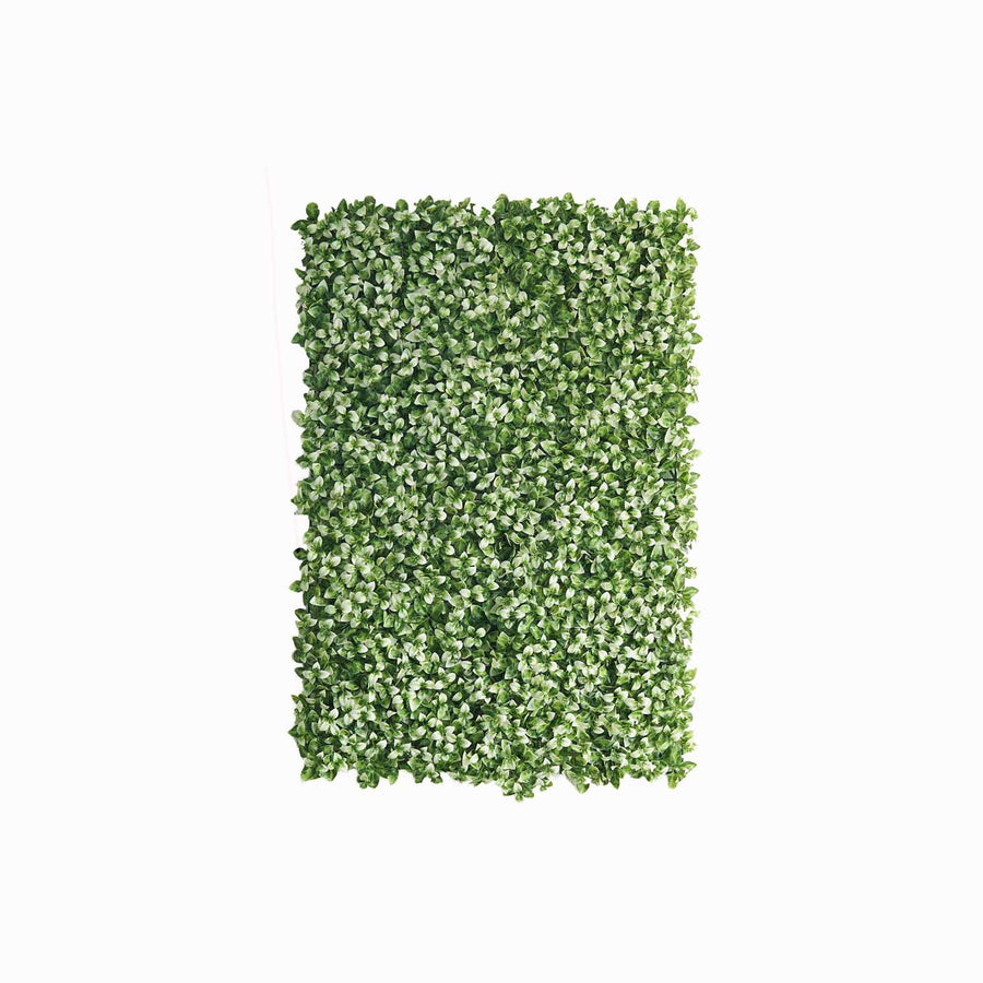 11 Sq ft. | White Tip Green Boxwood Hedge Garden Wall Backdrop Mat