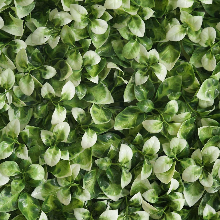 11 Sq ft. | White Tip Green Boxwood Hedge Garden Wall Backdrop Mat#whtbkgd