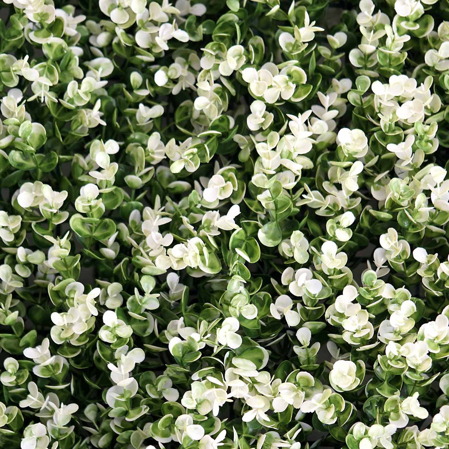 11 Sq ft. | White Tip Green Boxwood Hedge Genlisea Garden Wall Backdrop Mat#whtbkgd