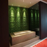 Modern interior with a green wall and minimalist stone seating area.