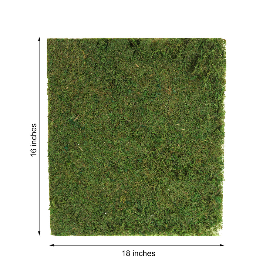 18x16inch | Preserved Natural Moss Wall Sheet Roll, Moss Landscape Panel