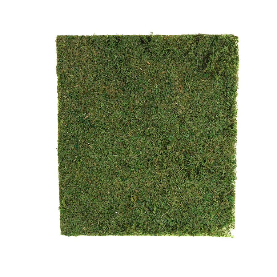 18x16inch | Preserved Natural Moss Wall Sheet Roll, Moss Landscape Panel