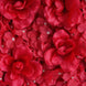 11 Sq ft. | Red 3D Silk Rose and Hydrangea Flower Wall Mat Backdrop#whtbkgd