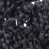 4 Bushes | Black Artificial Silk Chrysanthemums | 56 Faux Flowers#whtbkgd