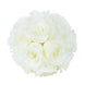 2 Pack | 7inch Cream Artificial Silk Rose Flower Ball, Silk Kissing Ball#whtbkgd