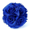 2 Pack | 7inch Royal Blue Artificial Silk Rose Flower Ball, Silk Kissing Ball#whtbkgd