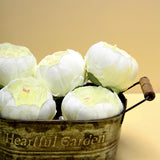 10 Pack | 3inch Cream Artificial Silk DIY Craft Peony Flower Heads