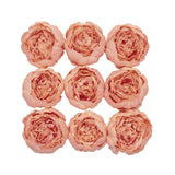 10 Pack | 3inch Peach Artificial Silk DIY Craft Peony Flower Heads