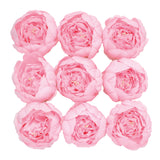 10 Pack | 3inch Pink Artificial Silk DIY Craft Peony Flower Heads