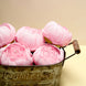 10 Pack | 3inch Pink Artificial Silk DIY Craft Peony Flower Heads