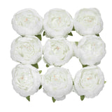 10 Pack | 3inch White Artificial Silk DIY Craft Peony Flower Heads