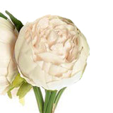 5 Flower Head Beige Peony Bouquet | Artificial Silk Peonies Spray#whtbkgd