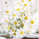 6 Bushes | White Artificial Silk Daisy Flower Stem Bouquet Branches#whtbkgd