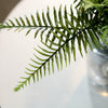 20inch Artificial Cycas Fern Green Leaf Plant, Premium Real Touch Indoor Spray#whtbkgd