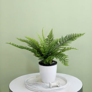 Create a Serene and Inviting Atmosphere with Premium Artificial Asparagus Fern