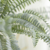 2 Stems | Frosted Green Artificial Boston Fern Leaf Plant Indoor Spray#whtbkgd
