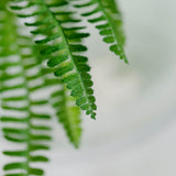 2 Stems | 18Inch Green Artificial Boston Fern Leaf Plant Indoor Faux Spray